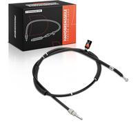 Frankberg Câble de Frein à main Frein à disque Arrière Droite Compatible avec A4 800 A4 8EC A4 Avant 8E5 A4 Avant 8ED A4 Cabriolet 8H7 A4 Cabriolet 8HE Remplacer# 8E0609722AQ