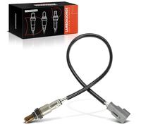 Frankberg Capteur d'Oxygène Compatible avec Mito 955 500 312 500 C 312 Fiorino MPV 225 Fiorino Camionnette/MPV 225 312 319 Van 312 519 Punto 199 Qubo 225 KA RU8 Remplacer# 55259033