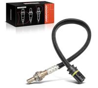 Frankberg Capteur d'Oxygène Sonde Lambda Compatible avec Série 3 Cabriolet E46 Série 3 E46 Série 5 E39 Série 5 E60 Série 3 Break E46 Remplacer#
