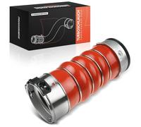 Frankberg Durite d'intercooler, durite de turbo, avant 7807987