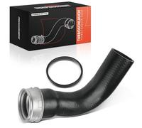 Frankberg Durite d'intercooler, durite de turbo, côté droit, 1635016182