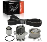 Frankberg Kit de courroie de distribution compatible avec A3 Sportback 8PA 1.9L 2004-2010 P.a.s.s.a.t 3C2 1.9L 2005-2008 Golf Plus 521 5M1 1.9L 2005-2009 Remplace 0381092433 Taille M