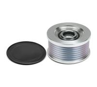 Frankberg Poulie roue libre d'alternateur avec 7 rainures Compatible avec Pathfinder III Van R51 2.5L Murano II Van Z51 2.5L Remplacer# A252C564FE