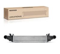 Frankberg Refroidisseur intermédiaire Compatible avec LA X204 3.0L T-modèle S204 3.0L W204 3.0L T-modèle S204 2.1L W204 1.6L Remplacer# 2045000300