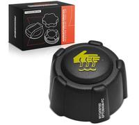 Frankberg Réservoir de compensation pour liquide de refroidissement Compatible avec S.a.n.d.e.r.o II 0.9L Twingo II CN0 1.2L Clio IV BH 1.2L Qashqai II SUV J11 J11 1.2L Remplacer# 8200048024