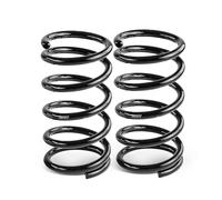 Frankberg Ressorts de suspension compatibles avec X-Trail 2002-2005 Coil Spring 2.0L 2.2L 2.5L Avant Set de 2 pièces de rechange # 540108H760