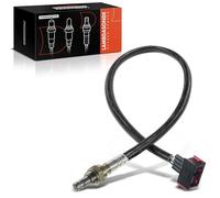 Frankberg Sonde de diagnostic du capteur Lambda après convertisseur
