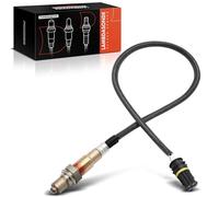 Frankberg Sonde de diagnostic du capteur Lambda après le convertisseur