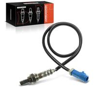 Frankberg Sonde lambda après le convertisseur catalytique 250-24903