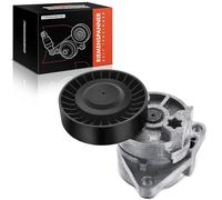 Frankberg Tendeur Courroie trapézoïdale à Nervures Compatible avec Carnival/Grand Carnival III VQ 2.9 CRDi Carnival II GQ 2.9 CRDi Terracan HP 2.9 CRDi 4WD Terracan HP 2.9 CRDi Remplacer# 252814X100