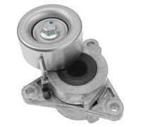 Frankberg Tendeur courroie trapézoïdale à nervures Compatible avec EX FX M/Q70 Y51 QX50 I QX70 NP300 Navara D40 Pathfinder III R51 3.0L Diesel 2010-2023 119555X20B