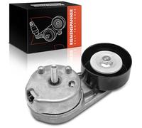 Frankberg Tendeur Courroie trapézoïdale à Nervures Compatible avec S-Type X200 2.5L-4.0L 1999-2008 XF CC9 J05 X250 3.0L 4.2L 2008-2015 R.ange R.over III LM 4.2L 4.4L 2004-2012 Remplacer# 3W436B209AA