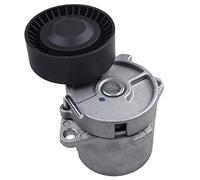 Frankberg Tendeur courroie trapézoïdale à nervures Compatible avec Série 3 E36 E46 316 318 Z3 1.6L 1.8L 1.9L Essence 1993-2006 1247647