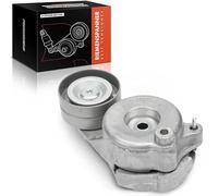 Frankberg Tendeur courroie trapézoïdale à nervures pour 300C LX Commander Grand Cherokee III WH WK Classe C CLK CLS Classe E Classe G 2005-2020 6422000070