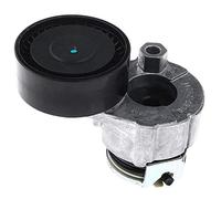 Frankberg Tendeur courroie trapézoïdale à nervures pour Almera II Micra III Clio II Kangoo M.e.g.a.n.e II Thalia I Modus Diesel 2001-2005 8200048486
