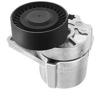 Frankberg Tendeur courroie trapézoïdale à nervures pour C70 I S40 I S60 I S70 S80 I V40 V70 I II XC70 Cross Country XC90 I 1997-2014 38190