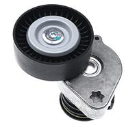 Frankberg Tendeur courroie trapézoïdale à nervures pour Classe C W203 W204 CL203 S203 S204 CL203 C209 A209 Classe E W211 S211 SLK R171 Sprinter 3-T 3,5-T Bus Camionnette Remorque 906 2002-2020 T38346