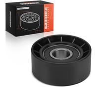 Frankberg Tendeur de Courroie Moteurraum Compatible avec Série 3 Compact E46 2.0L Série 5 E60 5.0L Série 5 Touring E61 2.0L C2 JM C5 I Break DE C5 II RC ZX N2 Duster HS Logan LS Remplacer# APV2159