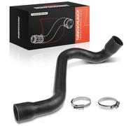 Frankberg Tuyau d'air de suralimentation, tuyau turbo 8200658187