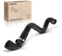 Frankberg Tuyau de refroidissement Gauche Haut, Caoutchouc synthétique, Noir Compatible avec Série 3 E46 316i 318i 316Ci 318Ci 1998-2006, 11531436407