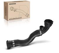 Frankberg Tuyau de refroidissement Gauche Haut Compatible avec Série 3 E46 320i 323i 325i 328i 330i 320Ci 323Ci 325Ci 330Ci 325TI 328Ci M52 M54 1998-2007 17127510952