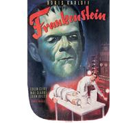 Frankenstein - Boris Carloff - Film Movie Legends - Impression du poster - Taille 61x91,5