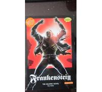Frankenstein: The Graphic Novel: Original Text