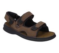 Franklyn brasil/schwarz 43
