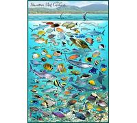 Franko Maps Ltd. Hawaiian Reef Creatures Poster