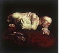 Frankspara - Il Dottor Crepapelle E L Albero Che Cammina