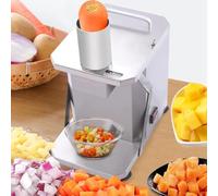 FRANREADER Automatic Dicer Chopper Cutter Electric Vegetable Dicer, Stainless Steel Veggie Cube Dicing Machine, 5 Size Blades Potato Dicer for Catering Stalls All