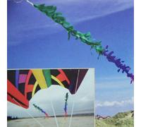 Fransenschwanz Rainbow