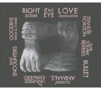Franz Ferdinand – Thoughts, Words, Right Action – Label Domino