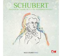 Schubert - Fantasie in C Major OP. 15 D.760 Wanderer Fantasy