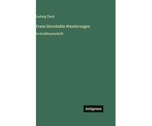 Franz Sternbalds Wanderungen: in Großdruckschrift