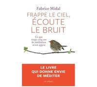 Frappe Le Ciel, Écoute Le Bruit - Ce Que Vingt-Cinq Ans De Méditation M'ont Appris