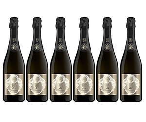 FRATELLI BERLUCCHI BRUT 25 BLANC DE BLANCS FRANCIACORTA [ 6 BOUTEILLES x 750mℓ ]