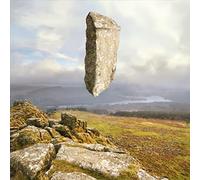 Fraxinus - Position (Displacement) [Import]