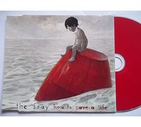 Fray - How to Save a Life