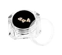 FRCOLOR 1 Boîte Boîte de Décorations de Dents Coeur Argenté Accessoires Bijoux Dentaires DIY pour Style Élégant et Personnalisé