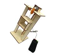 FRCOLOR 1 Ensemble Jouets Éducatifs Bois DIY Modèle Ascenseur pour Garçon Fille de Construction Créatif pour Développer Les Compétences Observation et Analyse des Garçon Fille