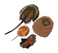 FRCOLOR 1 Ensemble Jouets Éducatifs Simulant des Organismes Marins pour Garçon Fille et Apprentissage des Animaux Aquatiques Réalistes