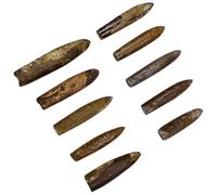 FRCOLOR 10 pièces Spécimens Fossiles de Bélemnite pour Décoration Bureau et Enseignement Scientifique Échantillons Naturels Éducatifs pour Collection