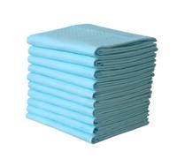 FRCOLOR 10pièces Tapis Apprentissage Jetable Pour Chiots Tapis Apprentissage Pour Chiens Alèse Jetable Pour Pour Animaux De Compagnie