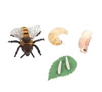 FRCOLOR 1Ensemble Modèle de Cycle de Vie des Abeilles Jouets Éducatifs pour Garçon Fille Outils Pédagogiques pour Apprentissage des Insectes pour Maison Écoles