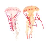 FRCOLOR 2 pièces Figurines Animaux Marins Océan Plastique Modèles Réalistes Jouets Éducatifs Garçon Fille Apprentissage Précoce Rouge Jaune 2pcs