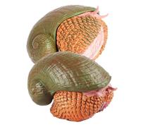 FRCOLOR 2 Pièces Figurines Escargot Réalistes Plastique Modèles Éducatifs pour Garçon Fille Décoration Jardin et Balcon