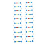 FRCOLOR 2 pièces Modèle Double Hélice Kit Enseignement Scientifique Outil Pédagogique pour Études Biologie Génétique et