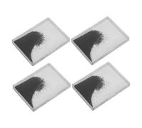 FRCOLOR 4 pièces Boîte de Poudre Magnétique Fer pour Expérience Scientifique Simulation Champ Magnétique Démonstration Électromagnétisme Outil Pédagogique Physique Scolaire et Laboratoire