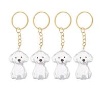 FRCOLOR 4 Pièces Porte-clés Commémoratif pour Boîte à Poils Rechargeable | Souvenir Portable pour Deuil, Ornement de Présentation, Style Porte-clés, pour Chiot et Chien